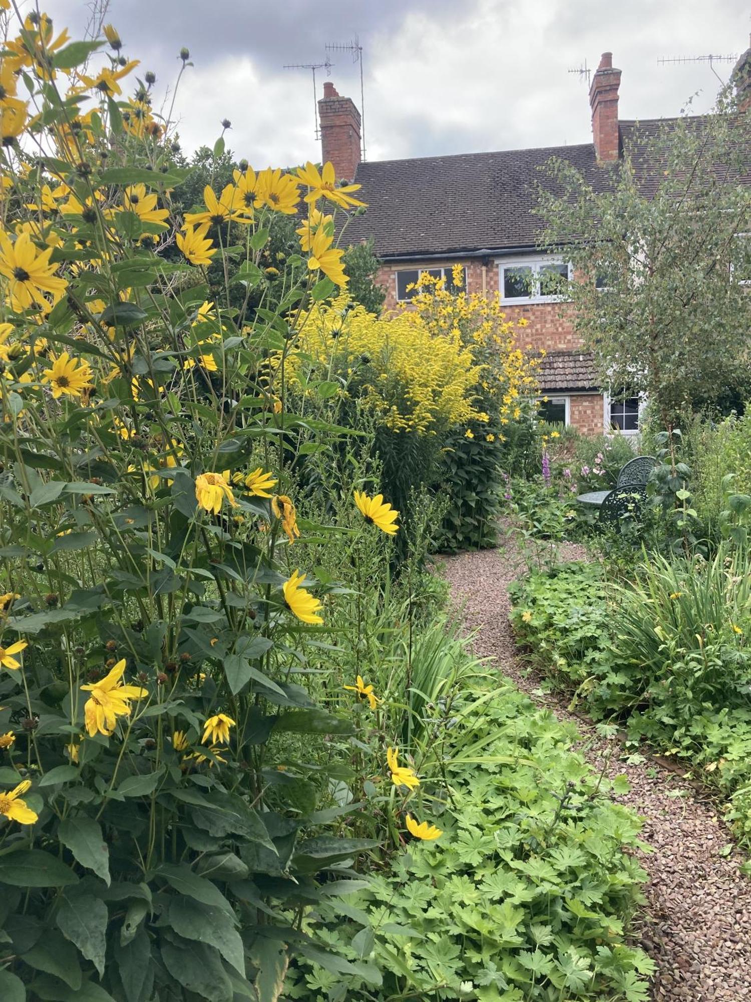 Witcroft Cottage パーショア エクステリア 写真